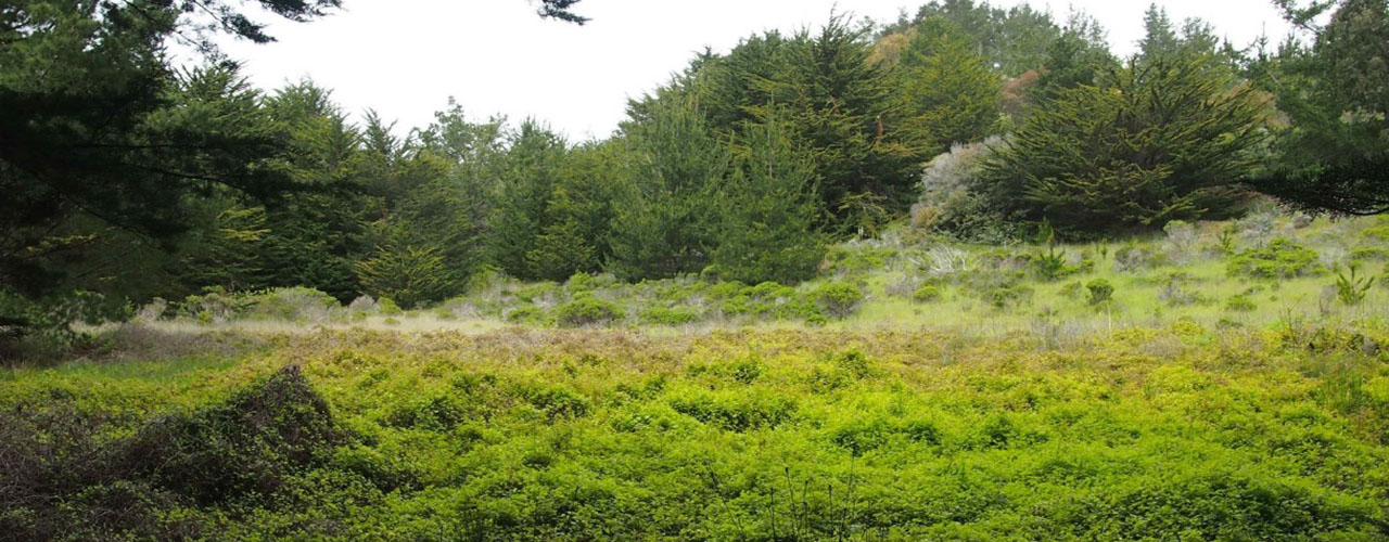 Ohlone-Portola Heritage Trail